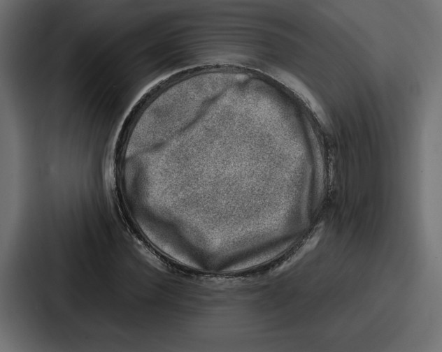 X0000087050924200705160948