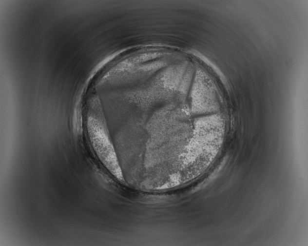 X0000087050925200705160948