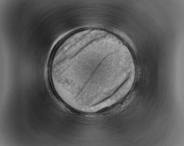 X0000087050928200705160948