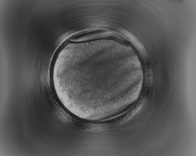 X0000087050932200705160948