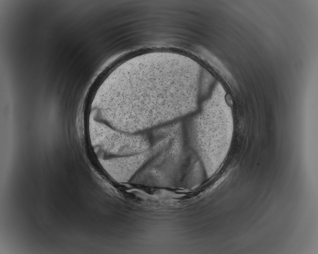 X0000087050934200705160948