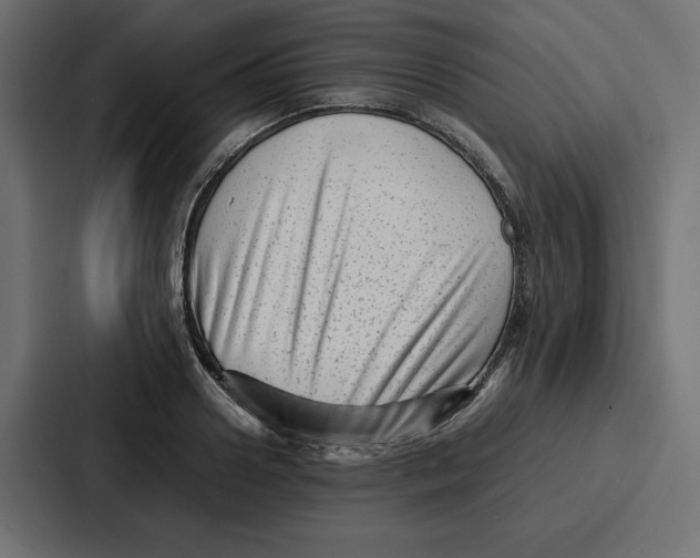 X0000087050938200705160948