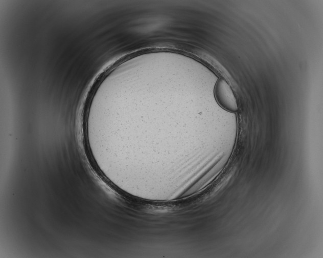 X0000087050939200705160948