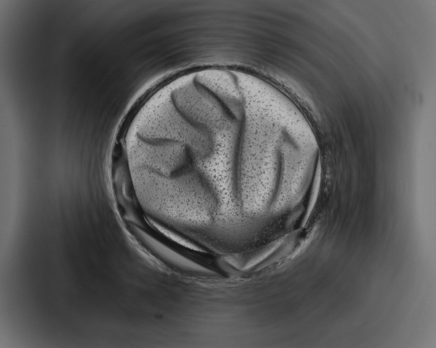 X0000087050942200705160948