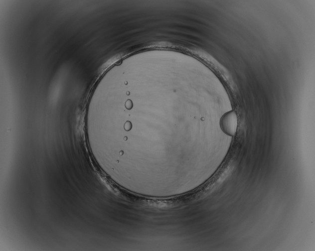 X0000087050945200705160948