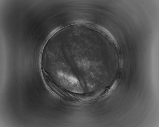 X0000087050946200705160948