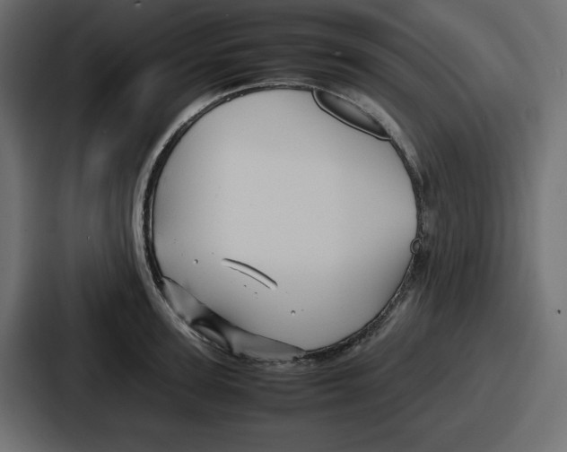 X0000087050947200705160948