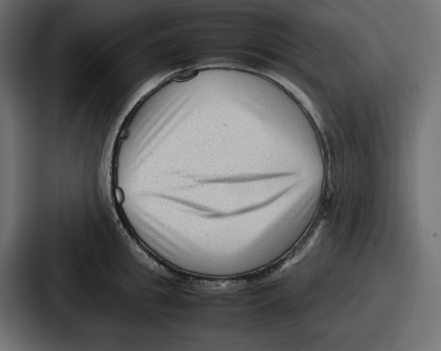 X0000087050949200705160948