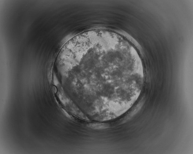 X0000087050953200705160948