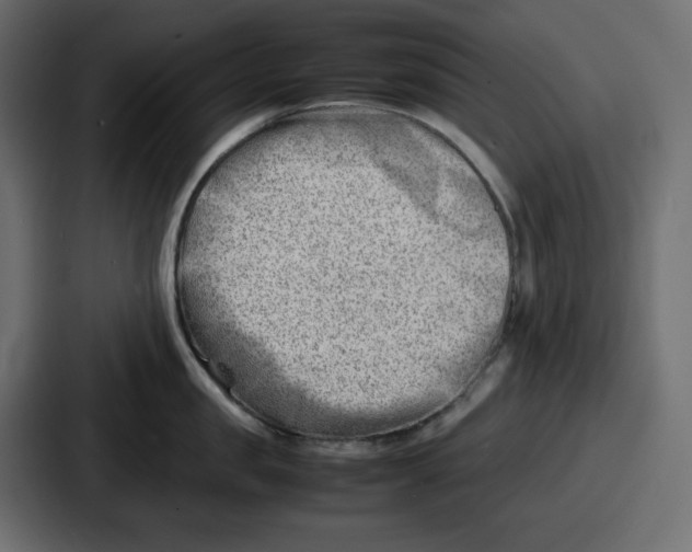 X0000087050957200705160948