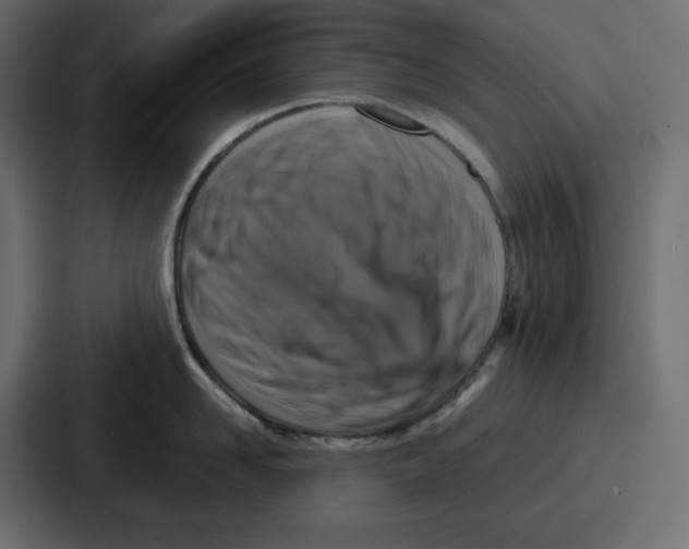 X0000087050958200705160948