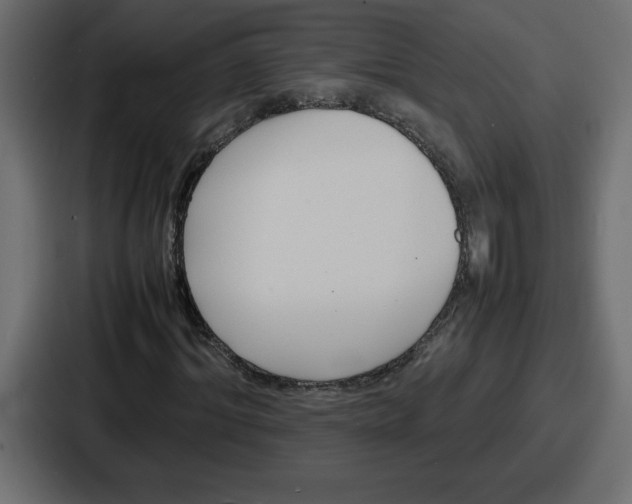 X0000087050964200705160948