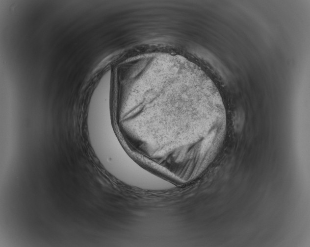 X0000087050968200705160948