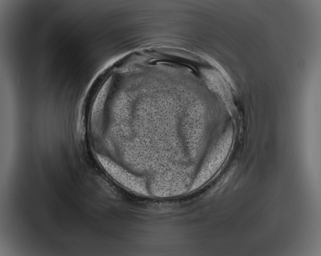 X0000087050973200705160947