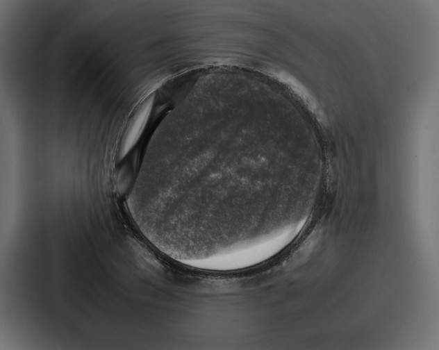 X0000087050977200705160947