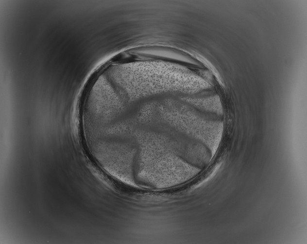 X0000087050981200705160947