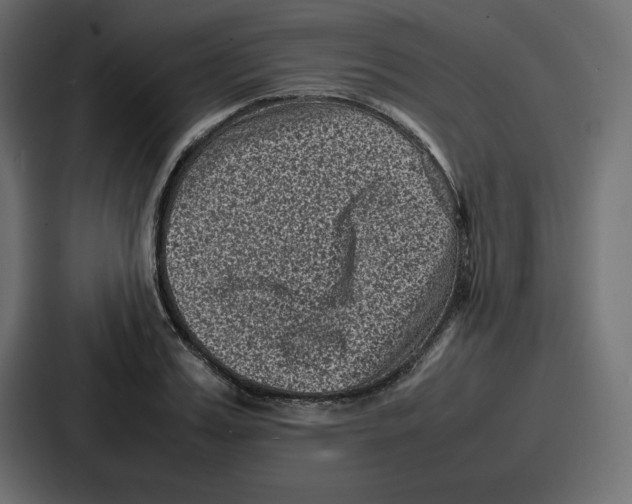 X0000087050987200705160947