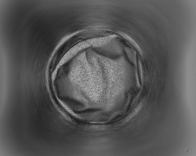 X0000087050989200705160947