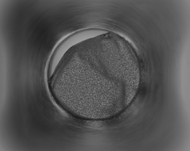 X0000087050991200705160947