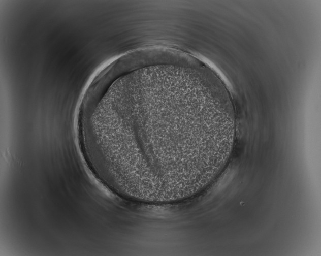 X0000087050995200705160947