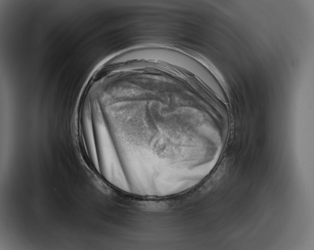 X0000087050996200705160947