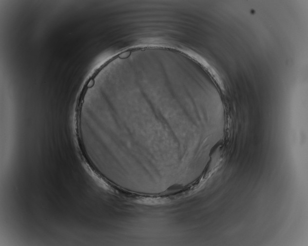 X0000087050998200705160947