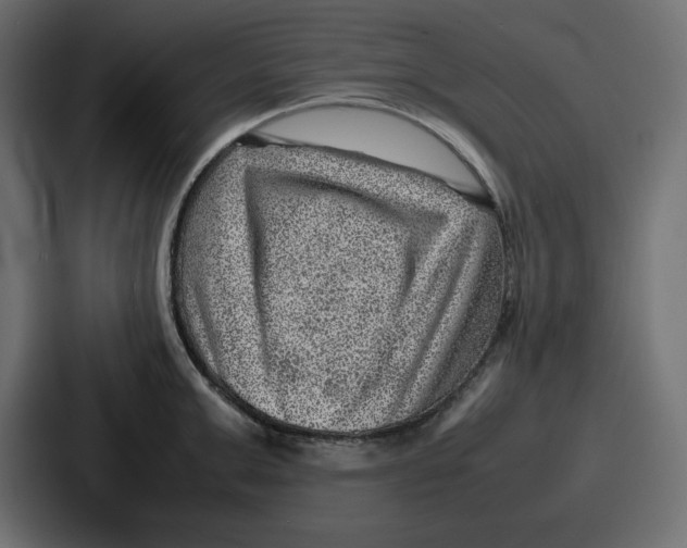 X0000087050999200705160947