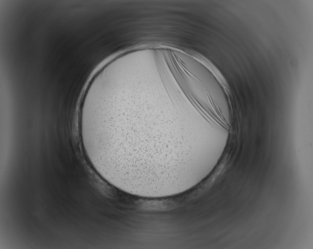 X0000087051004200705160947