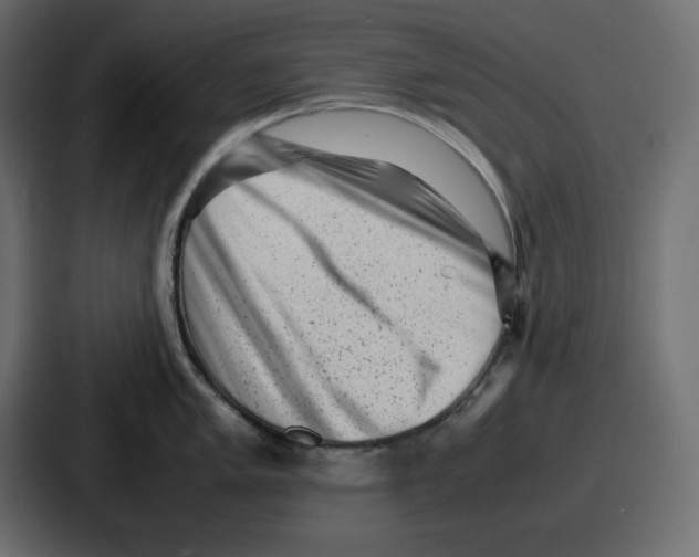 X0000087051005200705160947