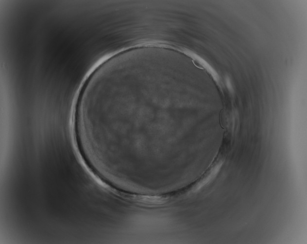 X0000087051007200705160947