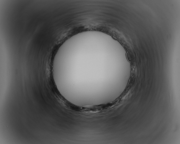 X0000087051012200705160946