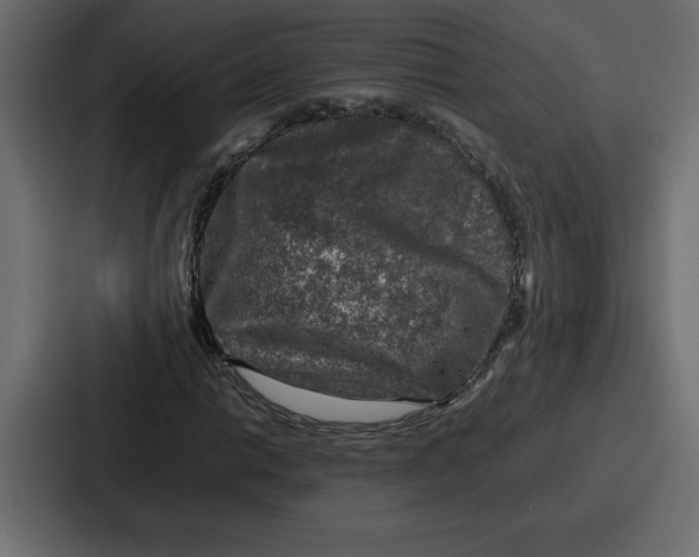 X0000087051014200705160946