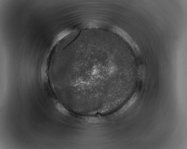 X0000087051018200705160946