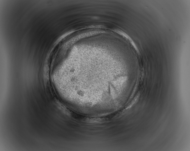 X0000087051019200705160946