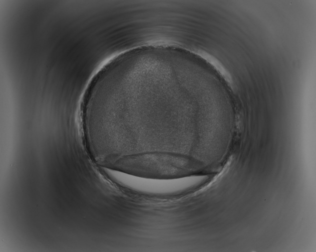 X0000087051022200705160947