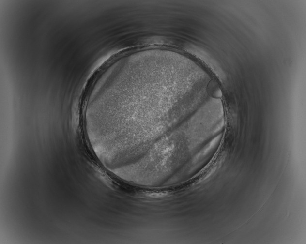 X0000087051023200705160947