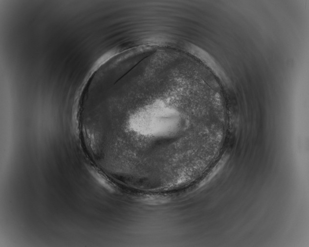 X0000087051026200705160947