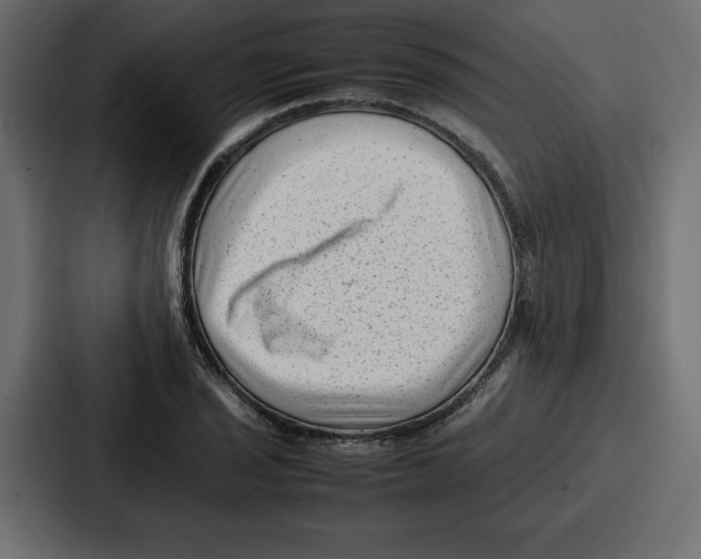 X0000087051029200705160947