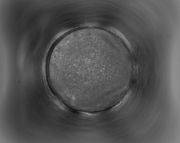 X0000087051035200705160947