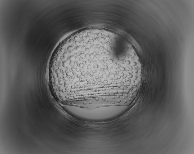 X0000087051036200705160947