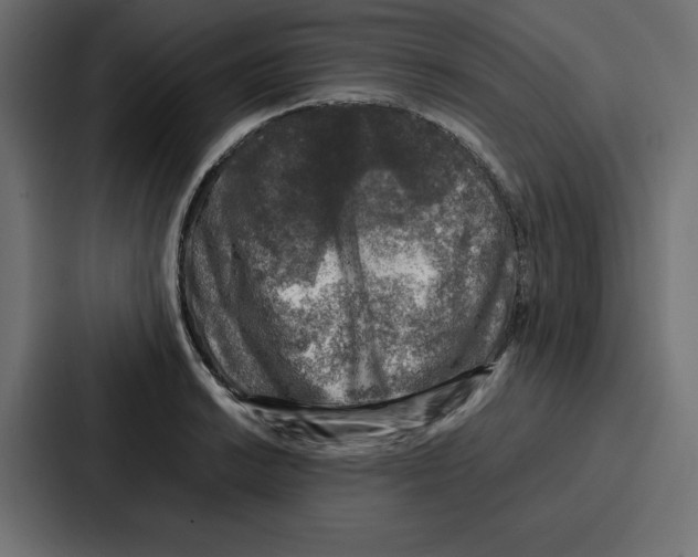 X0000087051038200705160947