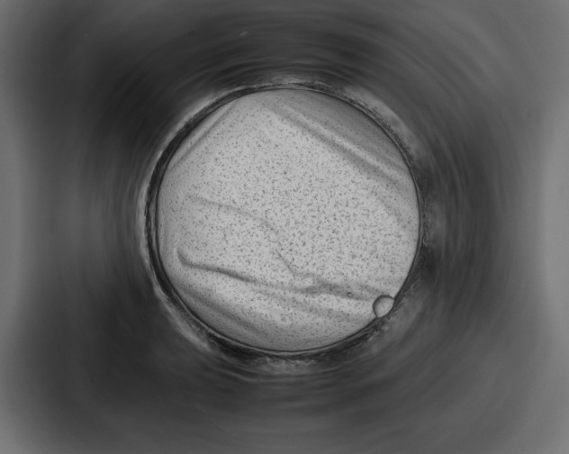 X0000087051039200705160947