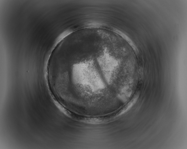 X0000087051042200705160947