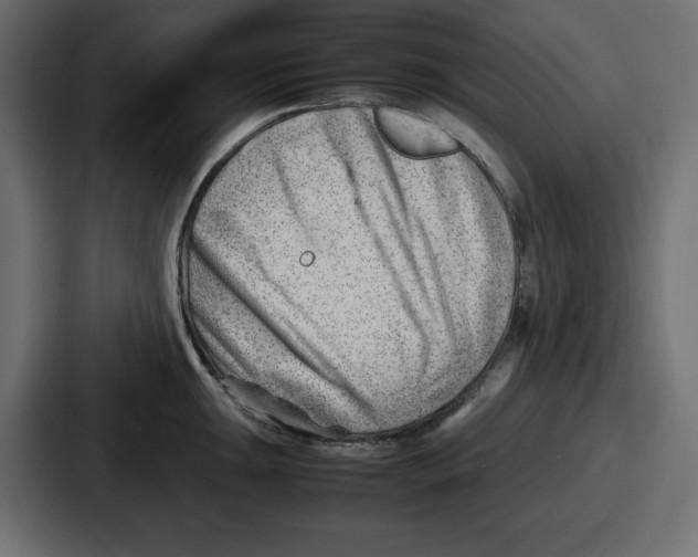 X0000087051047200705160947