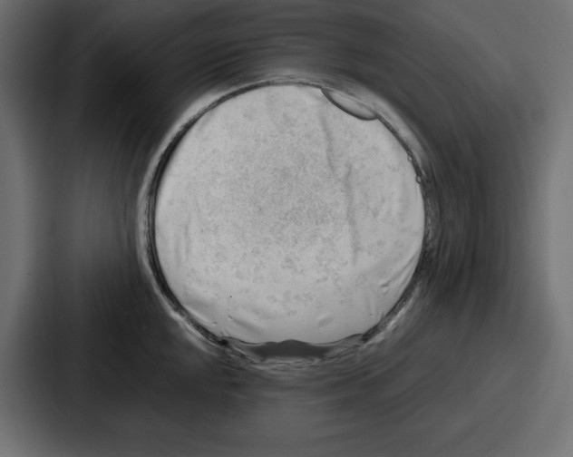 X0000087051048200705160947