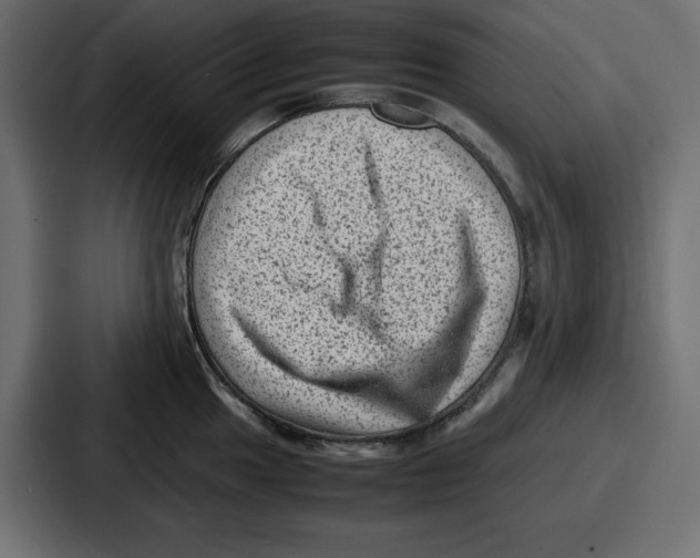 X0000087051049200705160947