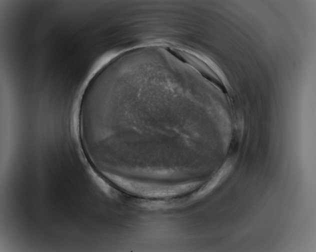 X0000087051054200705160947