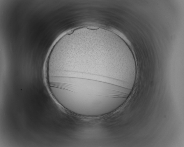 X0000087051056200705160947