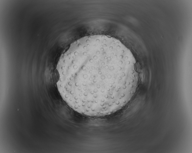 X0000087051059200705160946