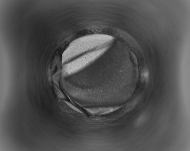 X0000087051060200705160946